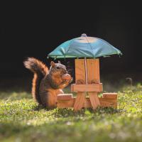 Artwork for Squirrel Tape Instrumentals, Vol. 3 by Evidence