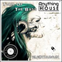 Artwork for Turn Up The Bass by Electrumun