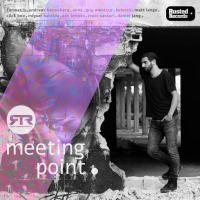Artwork for Meeting Point by Roy Rosenfeld