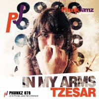 Artwork for In My Arms by Tzesar