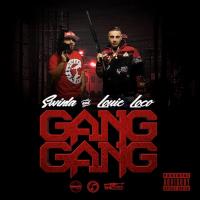 Artwork for Gang Gang by Swinla