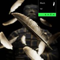 Artwork for Veil by Marsh