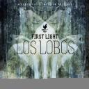 Artwork for Los Lobos