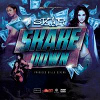 Artwork for SHAKE DOWN by SKAR