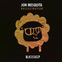 Artwork for Hallucination by Jon Mesquita