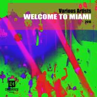 Artwork for Welcome To Miami 2016 by Various Artists