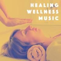 Artwork for Healing Wellness Music by Deep Sleep