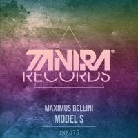 Artwork for Model S by Maximus Bellini