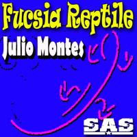 Artwork for Fucsia Reptile EP by Julio Montes