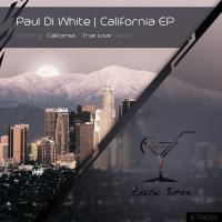 Artwork for California by Paul Di White