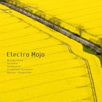 Artwork for Headquarter by Electro Mojo
