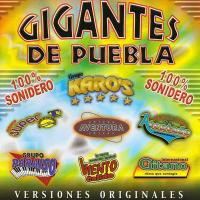 Artwork for Gigantes De Puebla by Various Artist