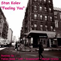 Artwork for Feeling You by Stan Kolev