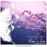 Artwork for Soul in Love (Elissandro Remix) by Wael MacTaviSh