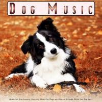 Dog Music Collective