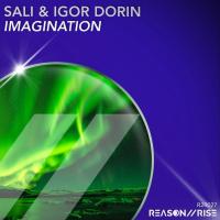 Artwork for Imagination by Sali