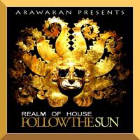 Artwork for Follow The Sun by Realm of House