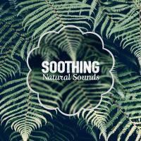 Artwork for Soothing Natural Sounds by Nature Sound Collection