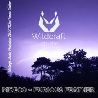 Artwork for Furious Feather by MDeco