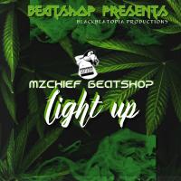 Artwork for Light Up by Mz. Chief Beatshop