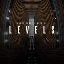 Artwork for Levels
