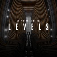 Artwork for Levels by Danny Bvndz