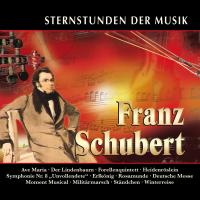 Artwork for Sternstunden der Musik: Franz Schubert by Various Artists