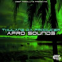 Artwork for Afro Sounds by Thulane Da Producer