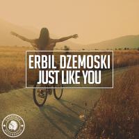 Artwork for Just Like You by Erbil Dzemoski