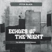 Artwork for Echoes of the Night by Pitch Black