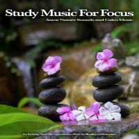 Study Music For Focus