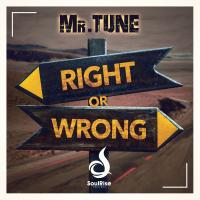 Artwork for Right or wrong by Mr.Tune