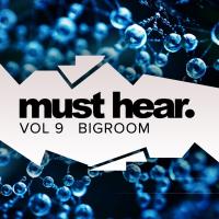 Artwork for Must Hear, Vol. 9: Big Room by Various Artists