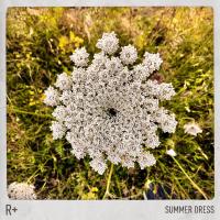 Artwork for Summer Dress by R Plus