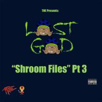 Artwork for Shroom Files, Pt. 3 by Lost God