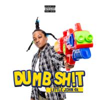 Artwork for Dumb Sh!t by Littlejohn4k