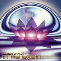 Artwork for Merlin by Infected Mushroom