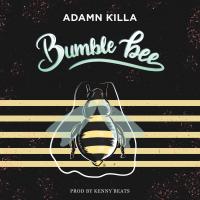 Artwork for Bumble Bee by Adamn Killa