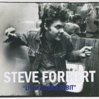 Artwork for Little Stevie Orbit by Steve Forbert