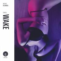 Artwork for Wake by D'SANTIS