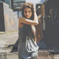 Artwork for Are You Sure by J Take