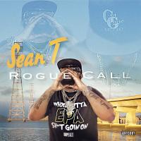 Artwork for Rogue Call by Sean T