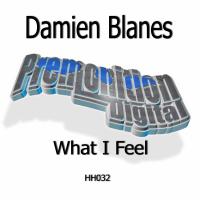 Artwork for What I Feel by Damien Blanes