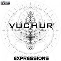 Artwork for Expressions by Vuchur