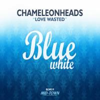 Artwork for Love Wasted by Chameleonheads