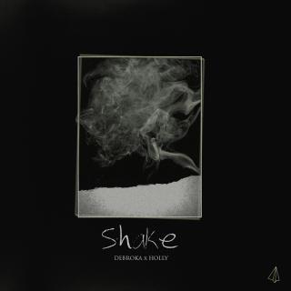 Artwork for Shake