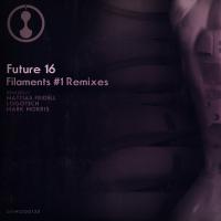 Artwork for Filaments #1 Remixes by Future 16